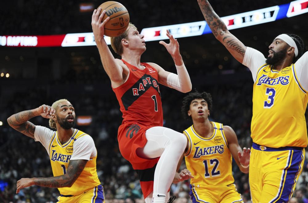 己视作豪门 己视作豪门