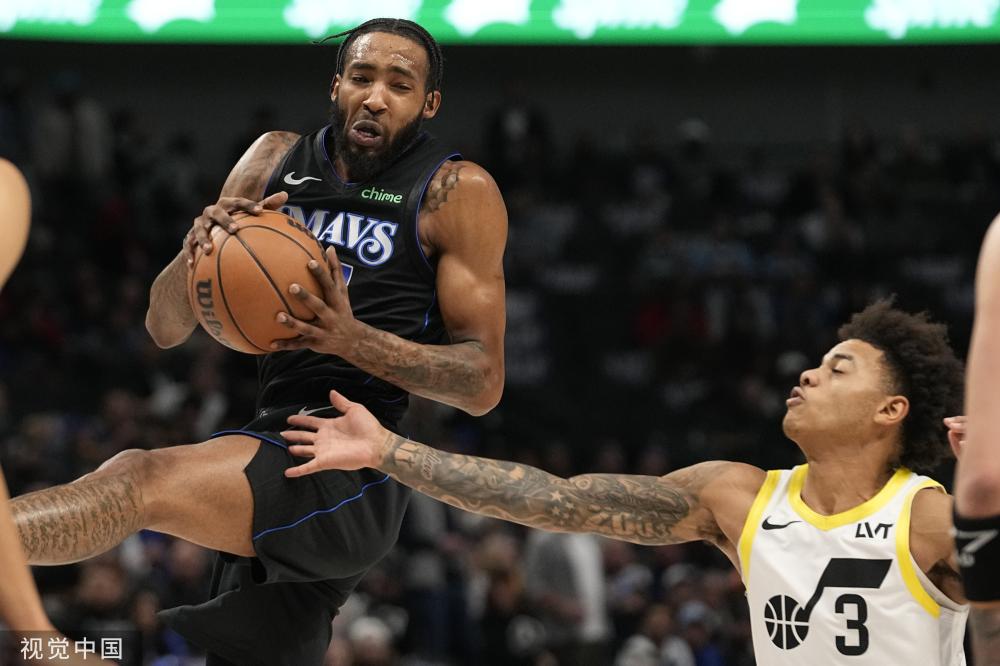 马术运动的 马术运动的